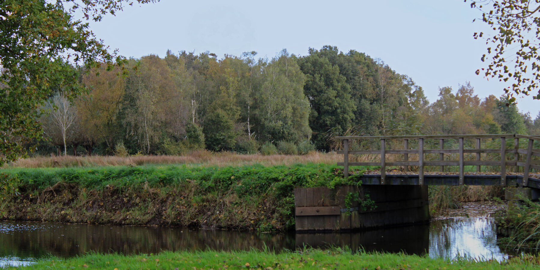Steinse Groen - Gouda - VIA landscape