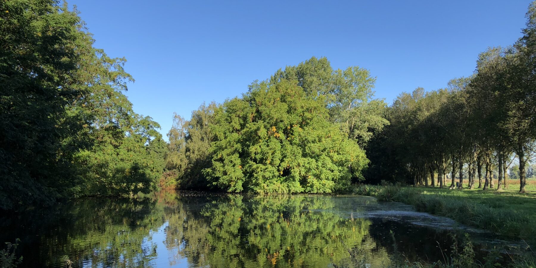 Steinse Groen - Gouda - VIA landscape