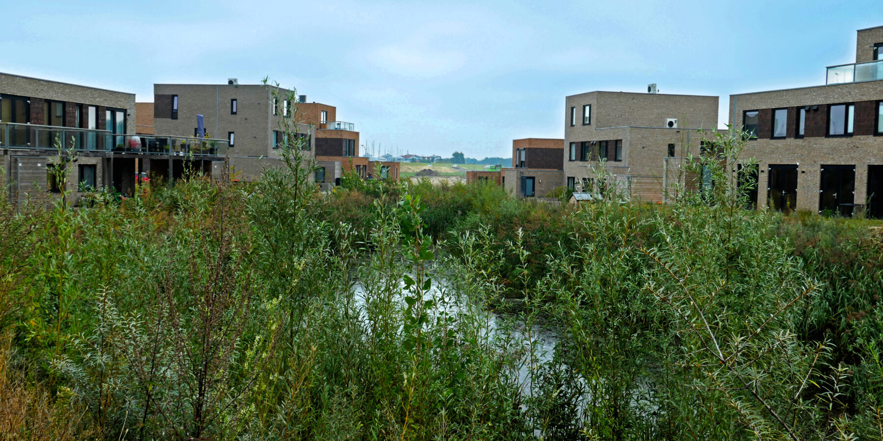 Houtribhoogte - Lelystad