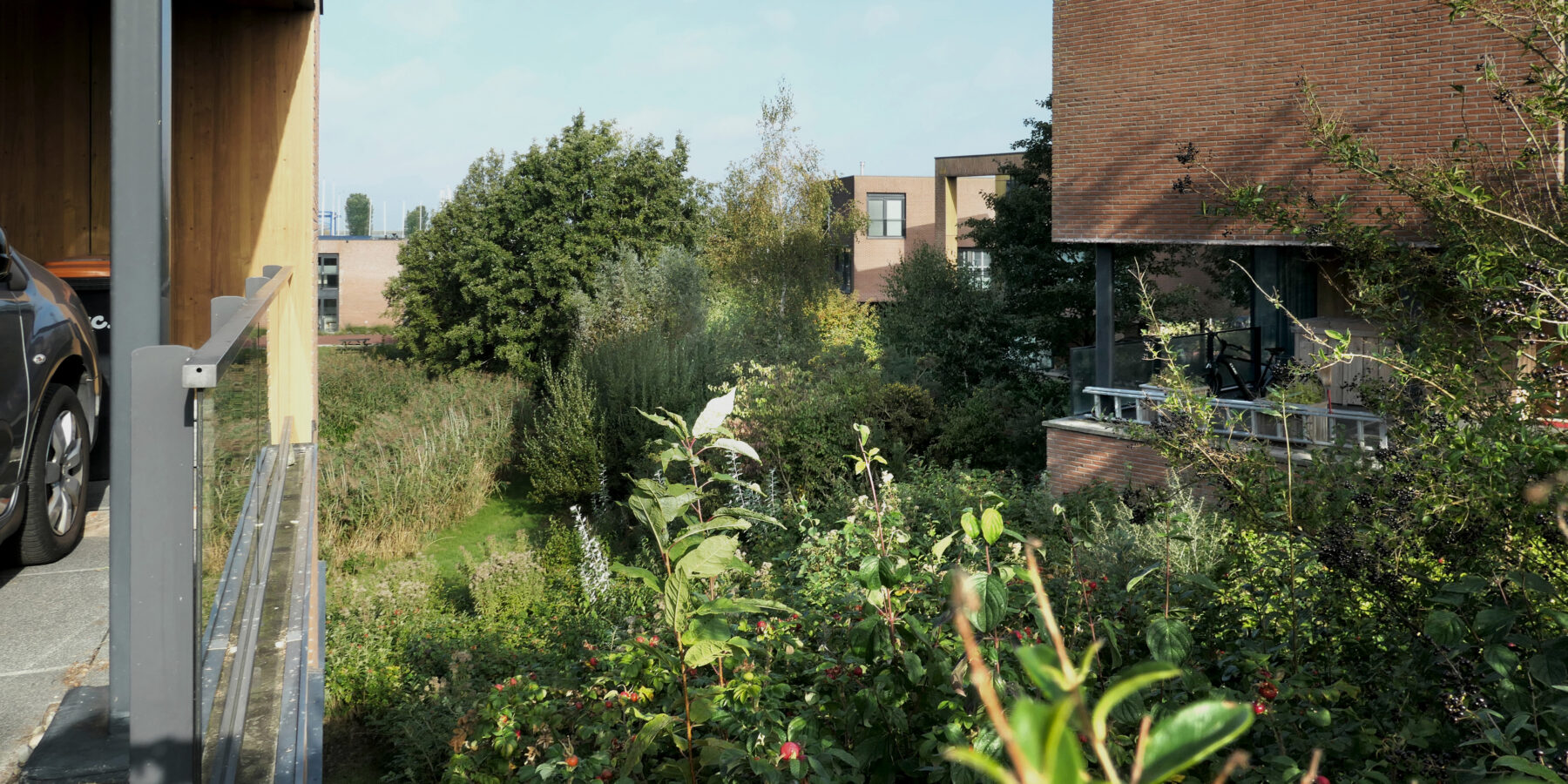 Houtribhoogte - Lelystad