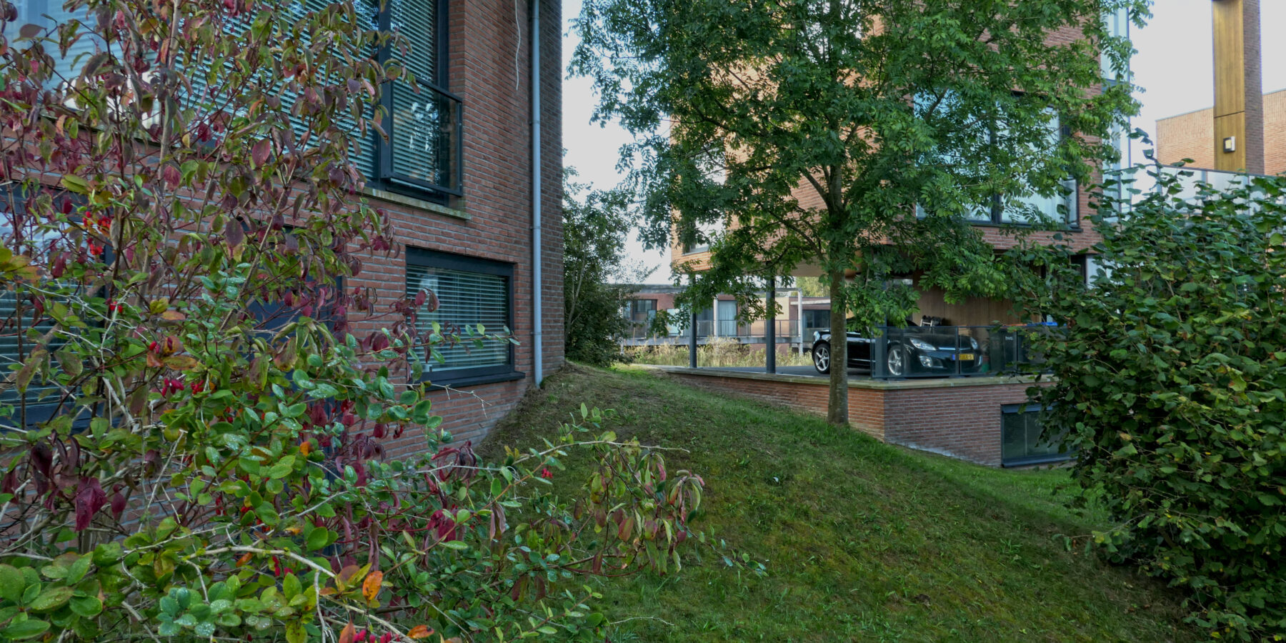 Houtribhoogte - Lelystad