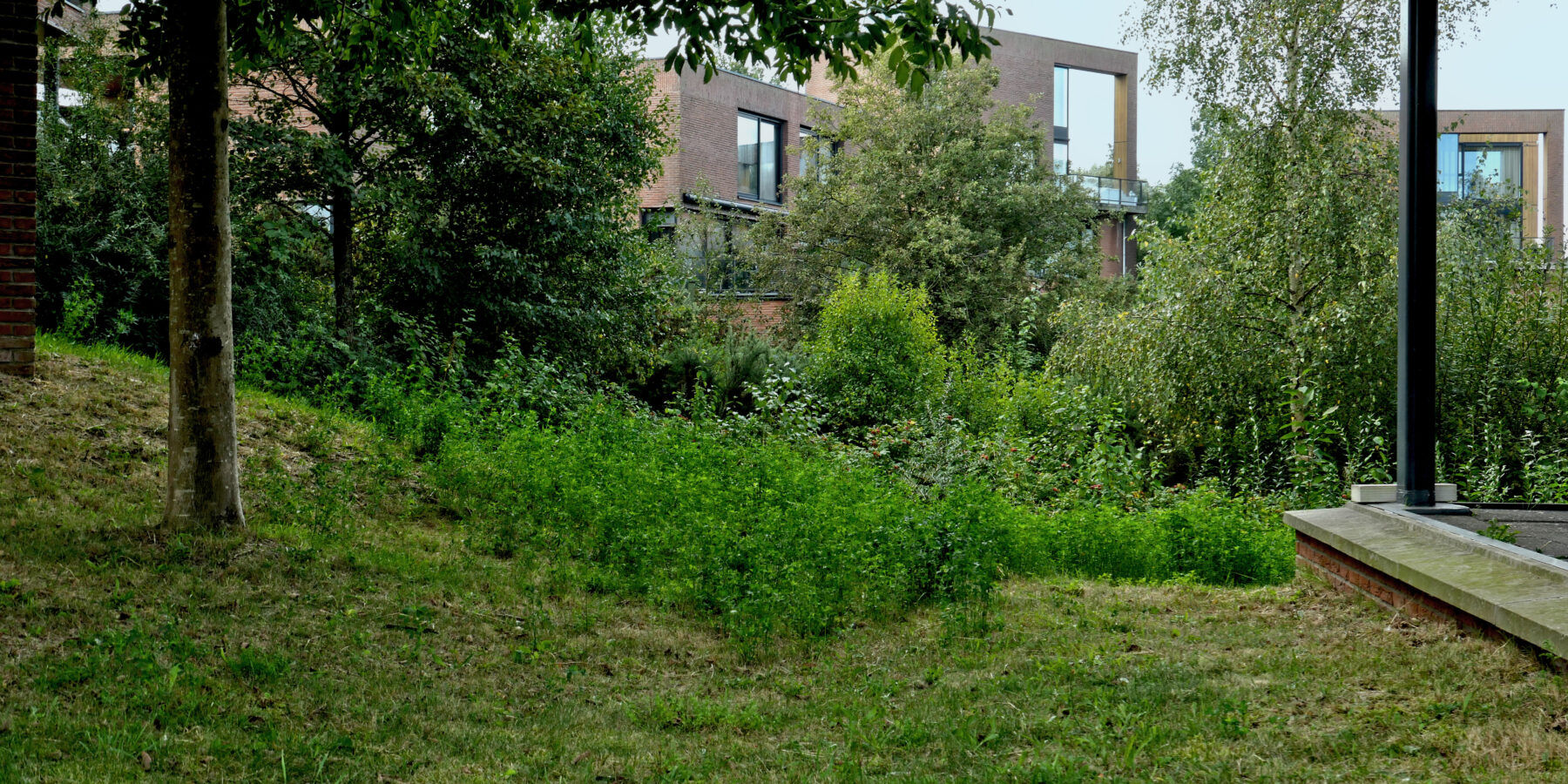 Houtribhoogte - Lelystad