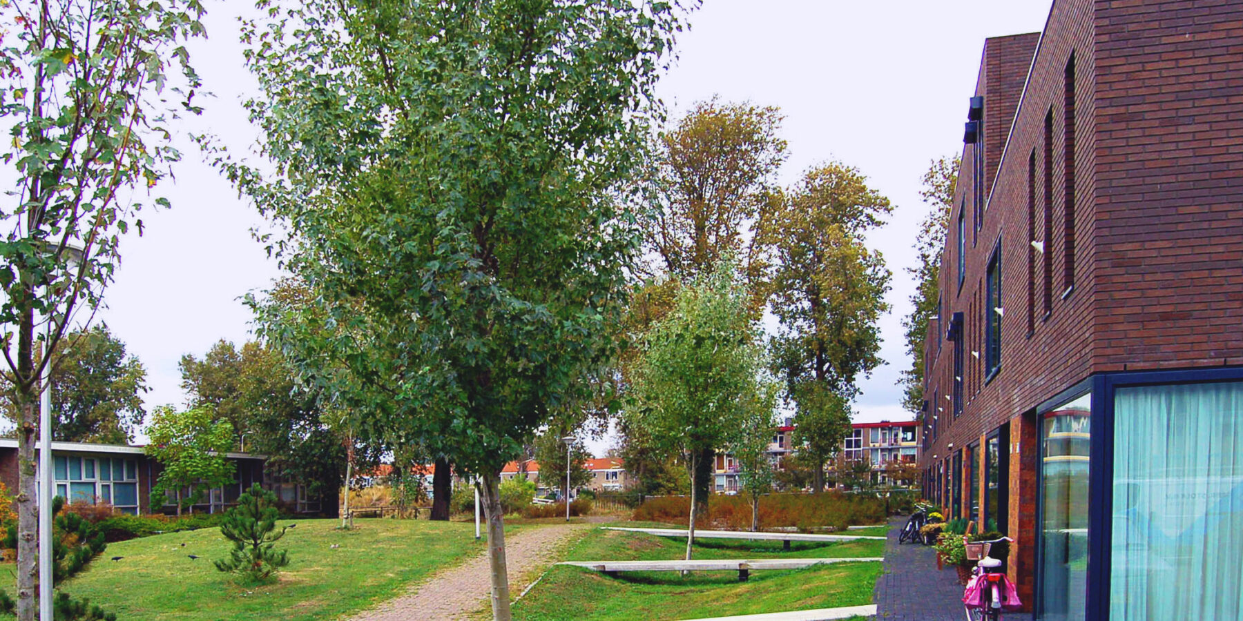 Stadspark - IJmuiden Waar Wijken Samenkomen in Groen