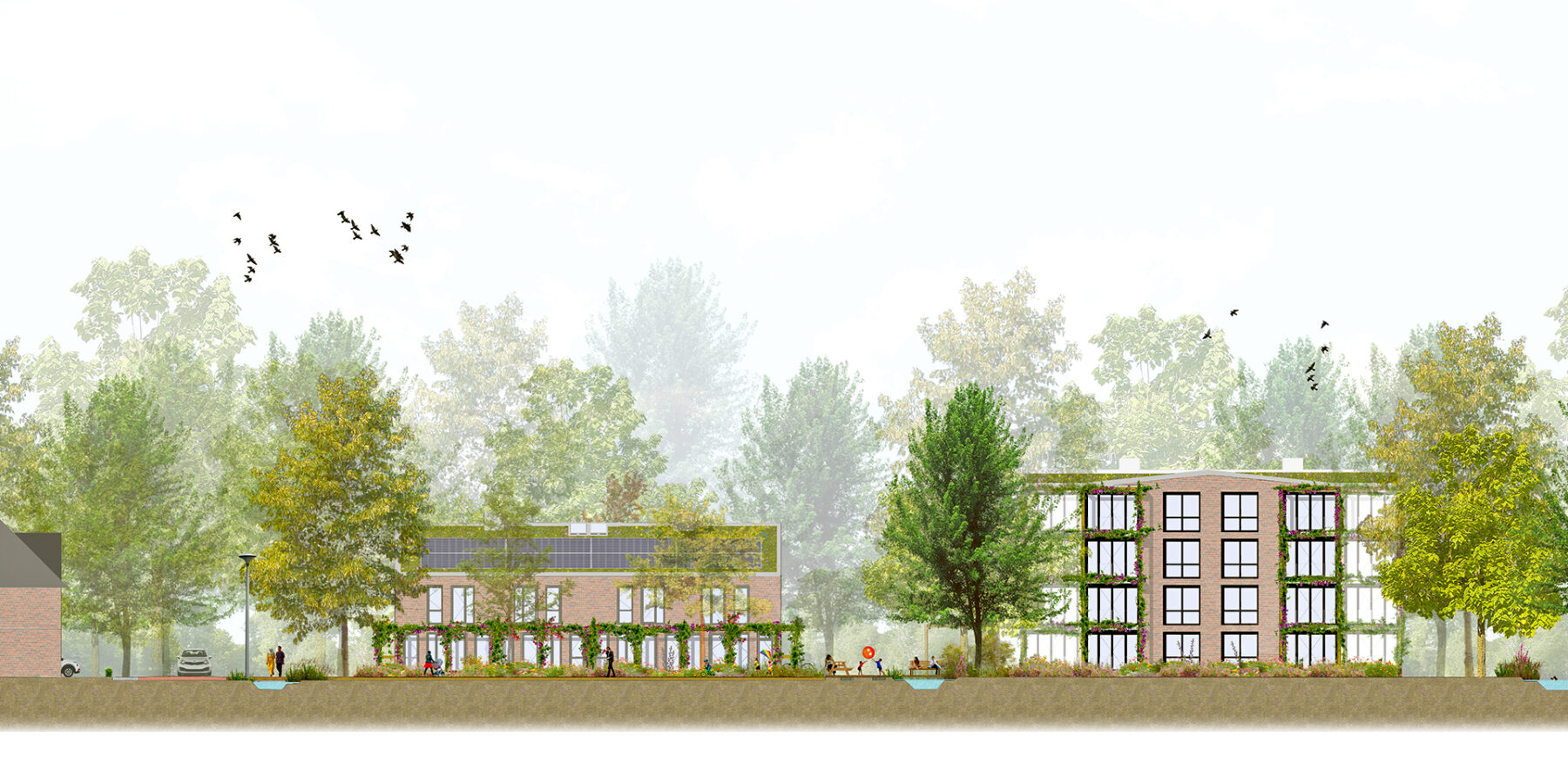 Woudse Weide - Rijnsaterwoude