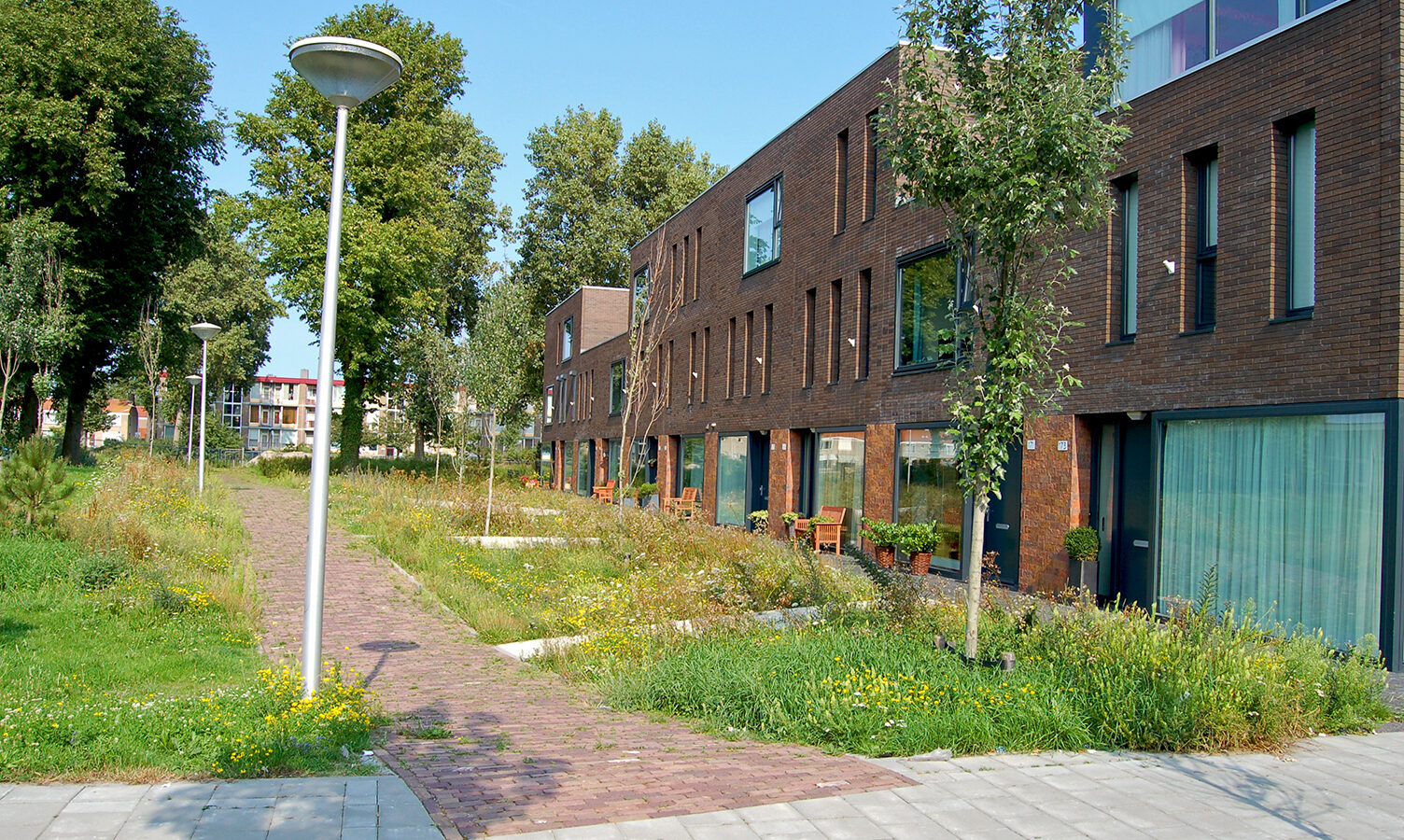 Stadspark - IJmuiden Waar Wijken Samenkomen in Groen